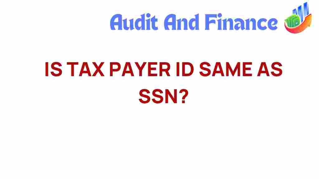 taxpayer-id-vs-ssn